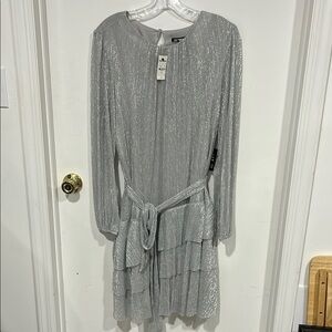 Express Silver Metallic Dress